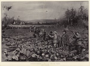 Partridge-shooting, a Good Day over the Turnips